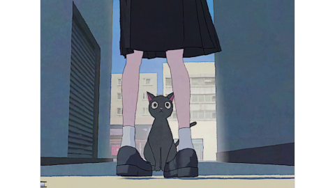 A Little Dance Show
小さなダンスショー
